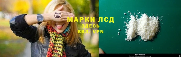 стафф Инта