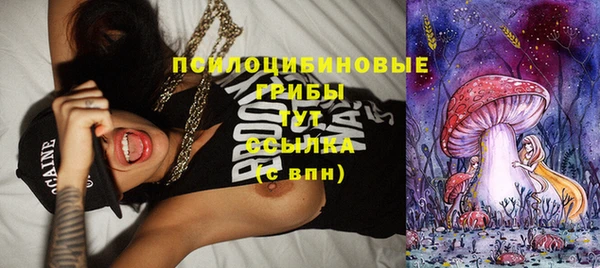 мет Инсар
