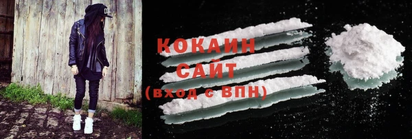 мет Инсар