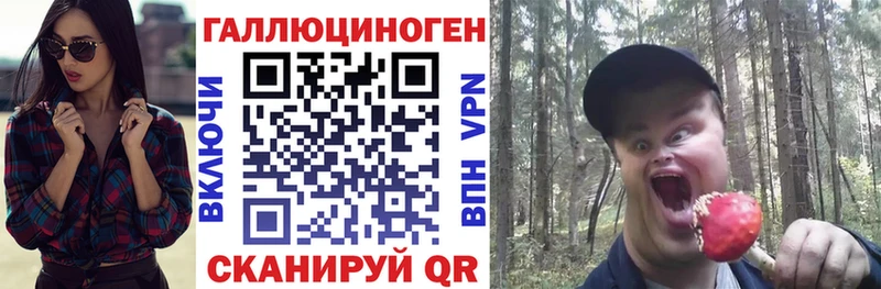 Галлюциногенные грибы Cubensis  Купить закладки  Белинский 